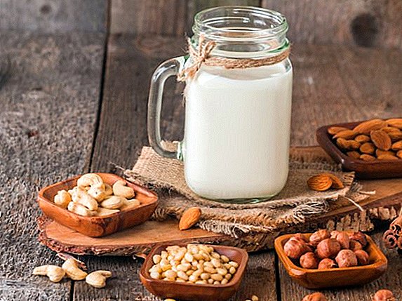 La leche de nuez se producirá en una de las empresas ucranianas