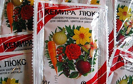 Fitur dan manfaat tanaman pupuk "Kemira" ("Fertika")