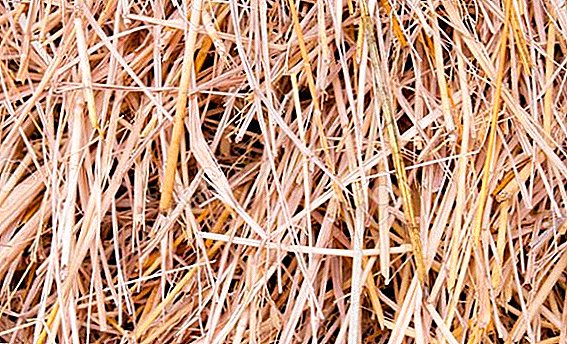 Features of using straw as a fertilizer