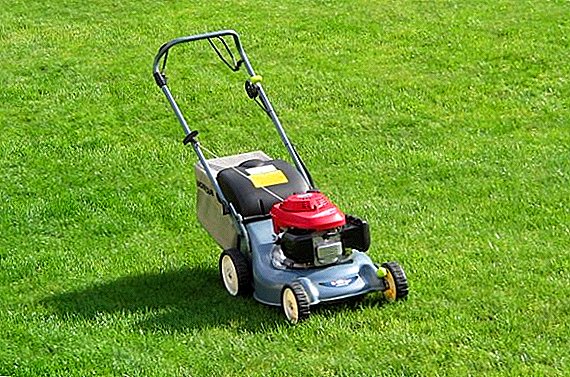 Features lawn mower lawn mowing: tips and tricks