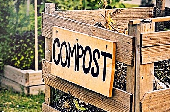 Características de hacer compost hágalo usted mismo.