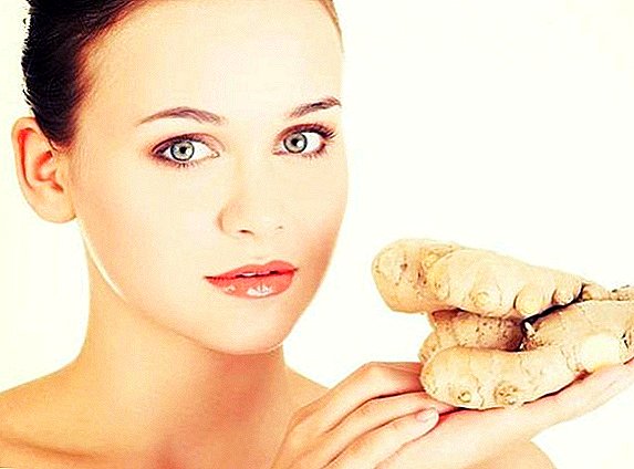 Features of the use and benefits of ginger for women