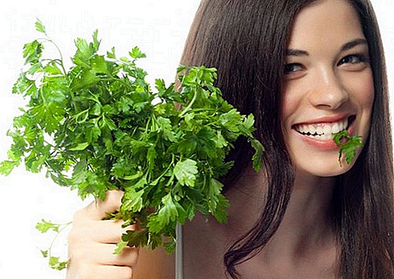Features of parsley for face skin