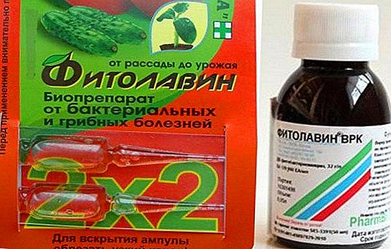 Características del uso de la droga "Fitolavin" para plantas