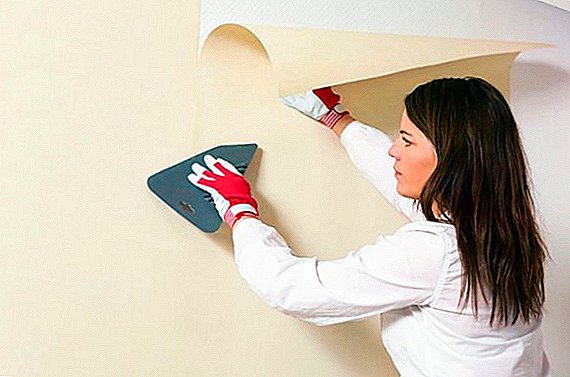 Farklı türde duvar kağıdı yapıştırma işleminin özellikleri: ilgili sorunların çözümü