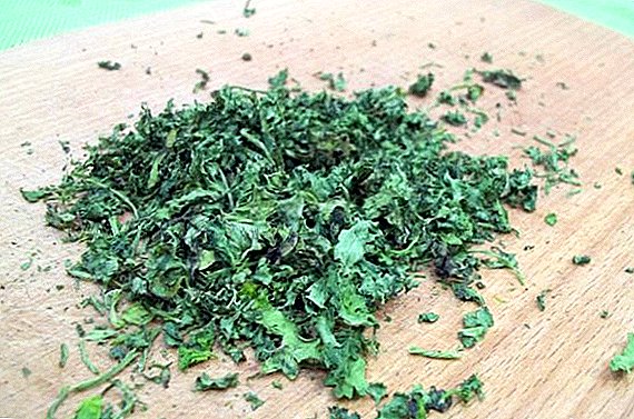 Features of dried cilantro