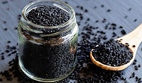 Features of the use of black cumin during pregnancy