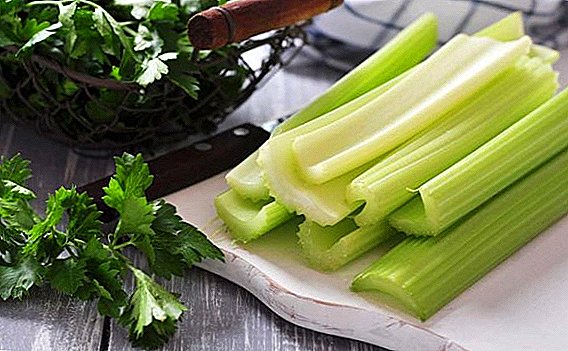 Features of the use of celery with pancreatitis