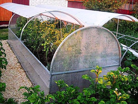Características de la instalación de un invernadero "mariposa" en el sitio