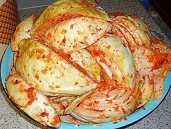 Spicy cabbage for the winter: cooking according to the recipe
