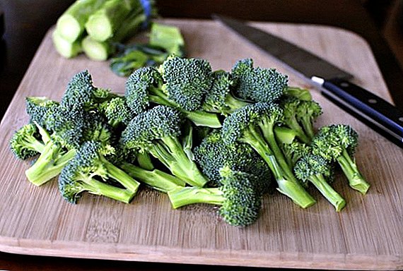Grøntsager grønt: hvad er og hvor nyttigt