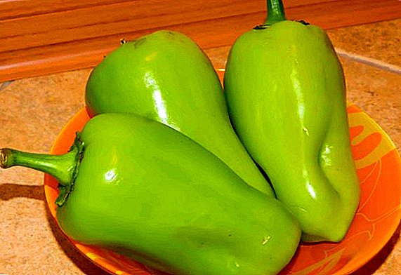 Sweet Pepper Swallow: photo, description and cultivation