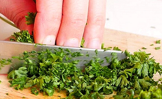 Parsley for men: what vitamins are contained, what is useful, how it affects the potency