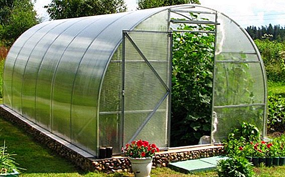 Pros and cons of different types of foundation for a polycarbonate greenhouse
