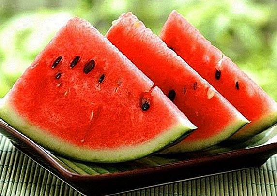 Why watermelon is considered a berry and is it