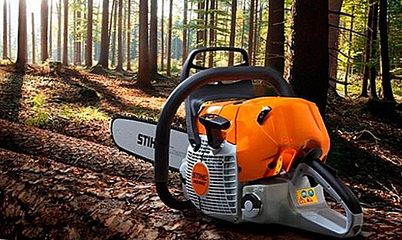Why chainsaw does not start: causes and remedies