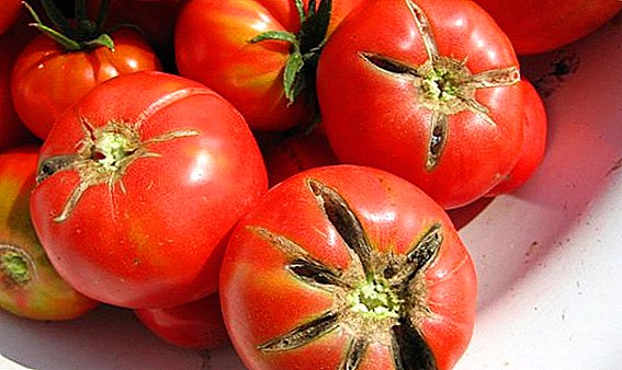 Why do tomatoes crack in the country?