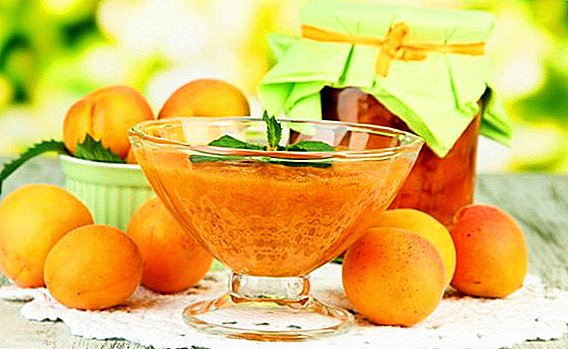Ett urval av recept för att skörda aprikoser för vintern