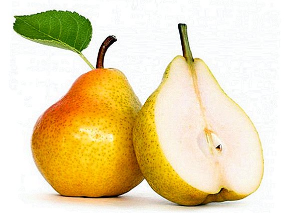 Valikoima reseptejä päärynien keräämiseksi talvella