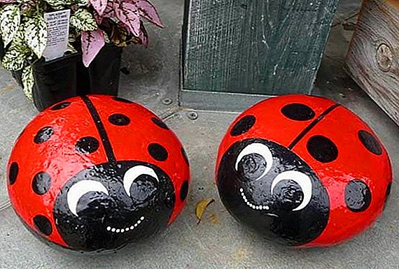Basteln für den Garten: wie man einen Marienkäfer macht (mit Foto)