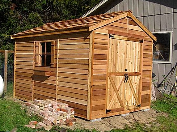 Detailed instructions with photos, how to build a barn for chickens with their own hands