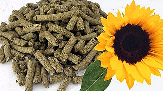 Sunflower meal: description and application