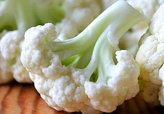 Useful and harmful cauliflower