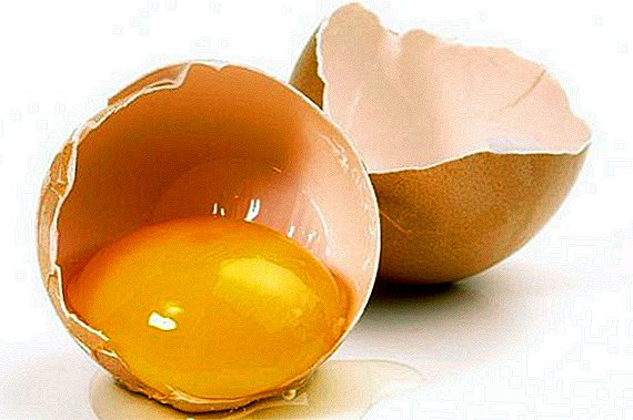 Os ovos de galinha são bons para você?