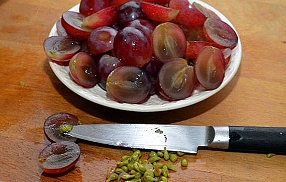 Propiedades útiles y perjudiciales de las semillas de uva.