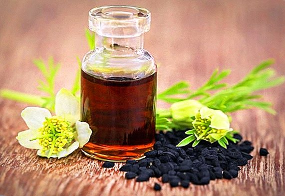 Useful properties of black cumin for women and methods of its use