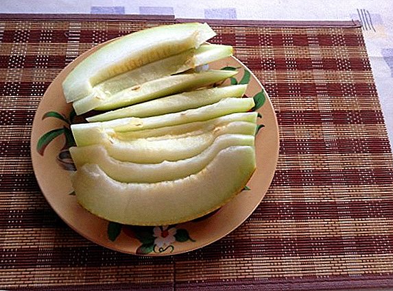Melonin hyödylliset ominaisuudet: käyttö perinteisessä lääketieteessä ja vasta-aiheet
