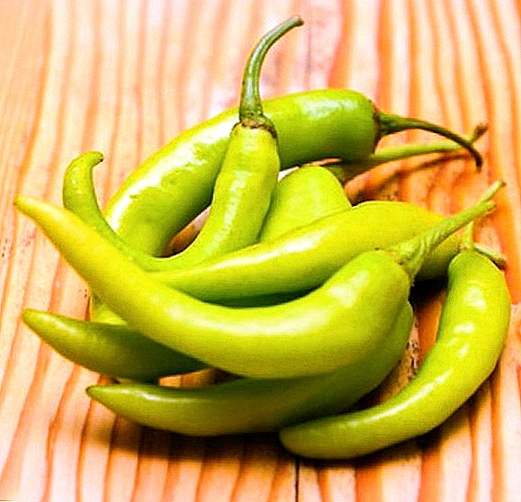 Useful properties of jalapeno, what is it, composition