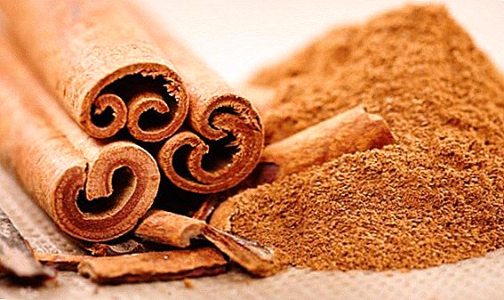 Useful properties and harm of cassia (Chinese cinnamon)