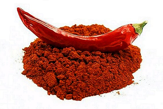 Useful properties of cayenne pepper. Cooking Application