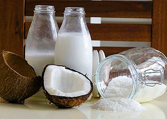 The beneficial properties of coconut milk