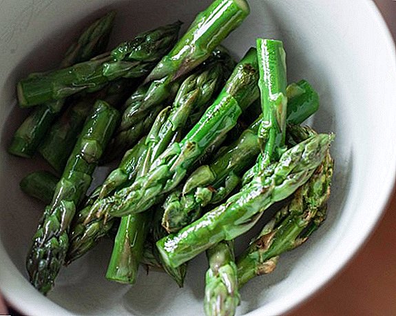 Useful properties of asparagus: use and contraindications