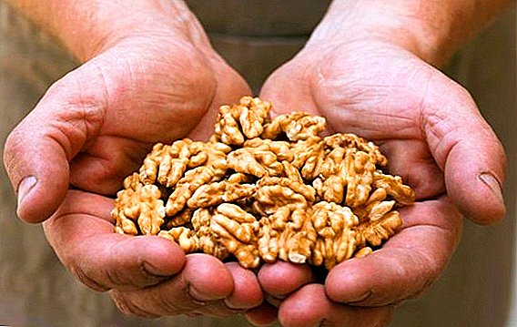 Les bienfaits des noix pour le corps d'un homme