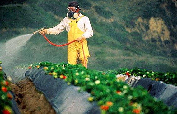 Policiais da Eslováquia apreenderam pesticidas contrabandeados de agricultores, trazidos da Ucrânia