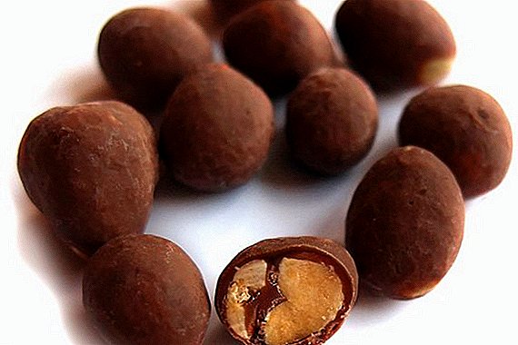 Poltava choklad visade sig vara helt "inte choklad"