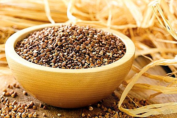 The benefits and harms of buckwheat for human health