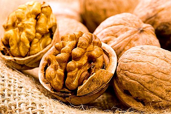 The benefits and harm of walnuts, use in medicine and cosmetology