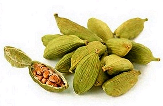 The benefits and harms of cardamom present