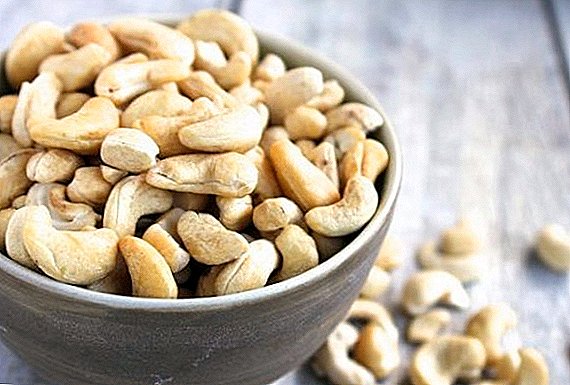 The benefits and harm of cashews