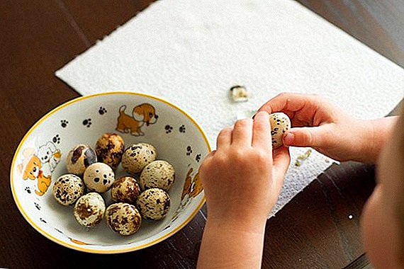Los beneficios y perjuicios de los huevos de codorniz para niños.