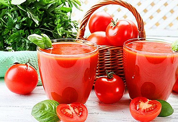 Prednosti i štetnost soka od rajčice za ljudsko tijelo