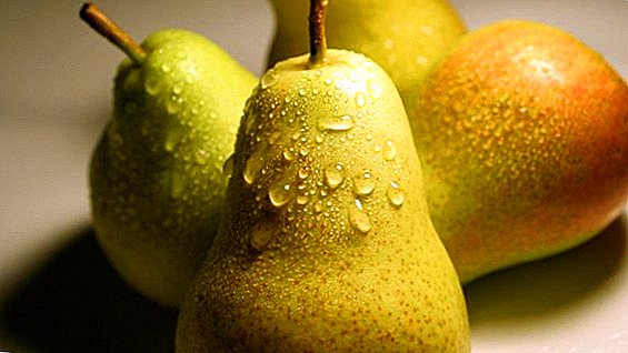 The benefits and harms of eating pears