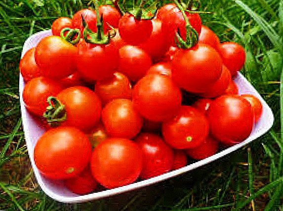 الطماطم عبارة عن توت أو فاكهة أو خضروات ، ونحن نتفهم اللبس.