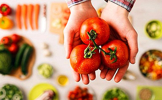 עגבניות: היתרונות ואת הפגיעה של מוצר פופולרי