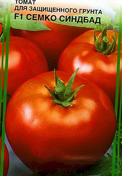 Tomater "Semko-Sinbad"