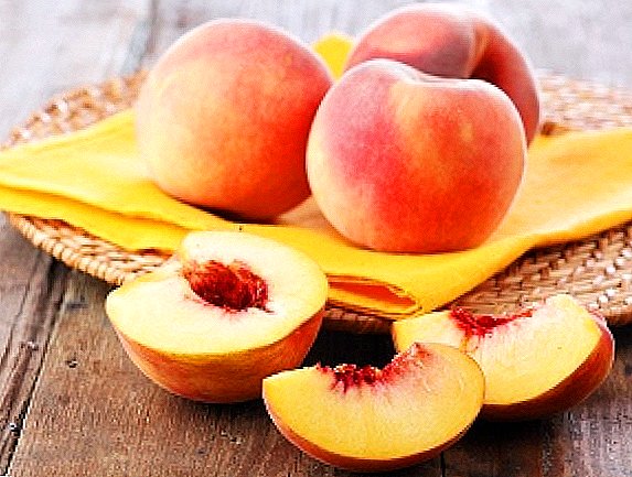 Popular varieties of peach: descriptions, tips on care